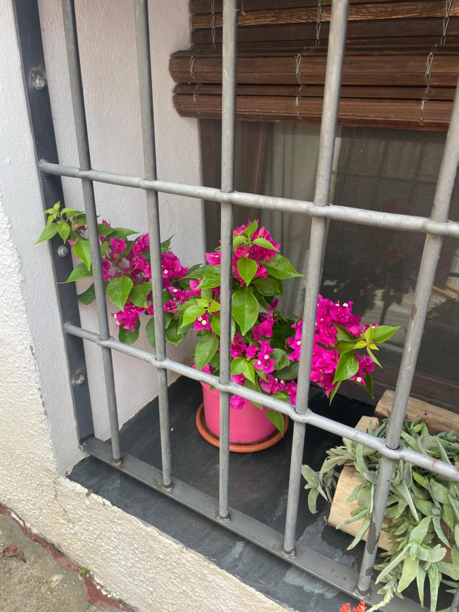 Villa La Cuadra De Anita Mecina Fondales Esterno foto